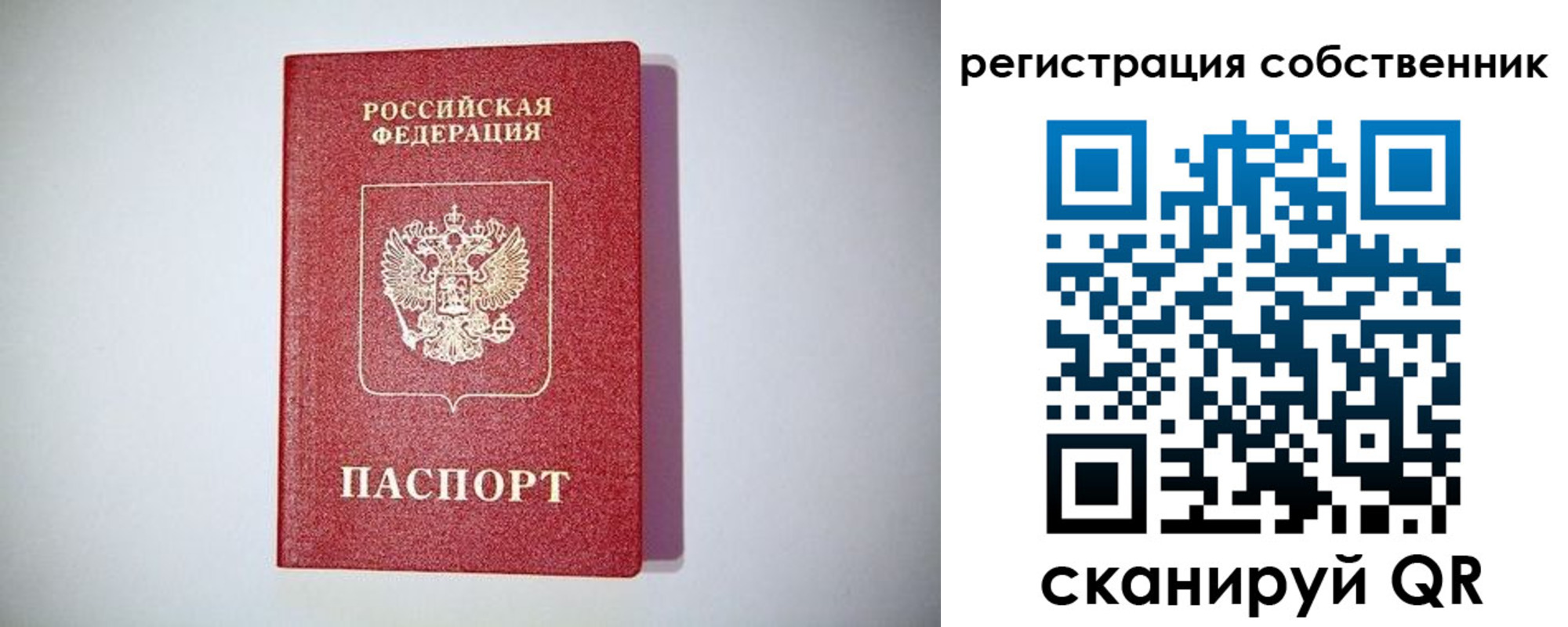 временная регистрация для школы в Балашове